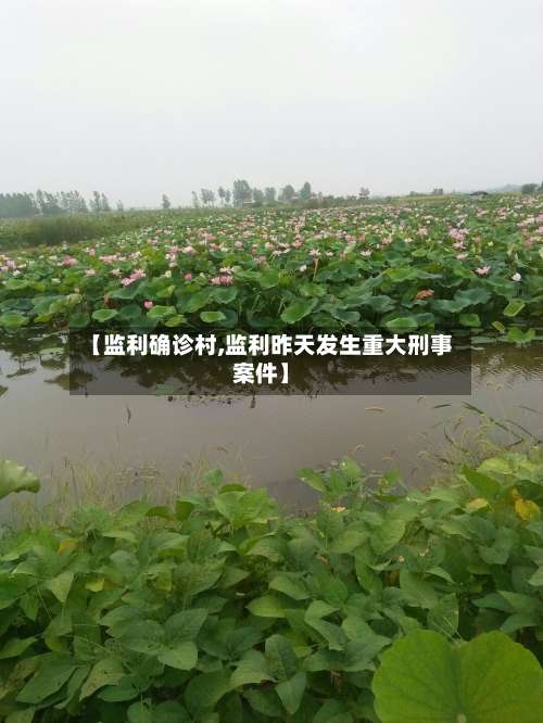 【监利确诊村,监利昨天发生重大刑事案件】