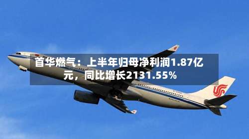 首华燃气：上半年归母净利润1.87亿元	，同比增长2131.55%-第2张图片