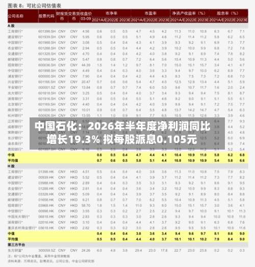 中国石化：2026年半年度净利润同比增长19.3% 拟每股派息0.105元