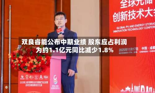 双良睿能公布中期业绩 股东应占利润为约1.1亿元同比减少1.8%-第1张图片