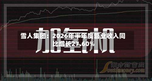雪人集团：2026年半年度营业收入同比增长27.60%-第3张图片