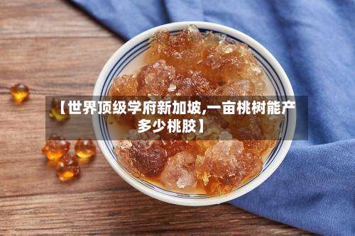 【世界顶级学府新加坡,一亩桃树能产多少桃胶】-第2张图片