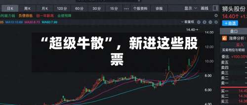 “超级牛散”，新进这些股票-第3张图片