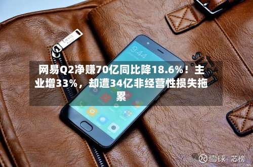 网易Q2净赚70亿同比降18.6%！主业增33%，却遭34亿非经营性损失拖累-第2张图片