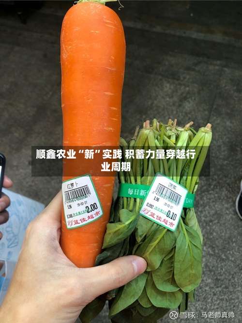 顺鑫农业“新”实践 积蓄力量穿越行业周期-第2张图片