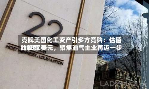 壳牌美国化工资产引多方竞购：估值比较高约80亿美元	，聚焦油气主业再迈一步-第3张图片