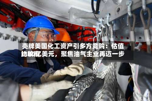 壳牌美国化工资产引多方竞购：估值比较高约80亿美元，聚焦油气主业再迈一步-第2张图片
