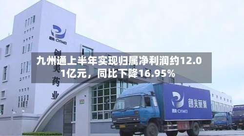 九州通上半年实现归属净利润约12.01亿元，同比下降16.95%-第3张图片