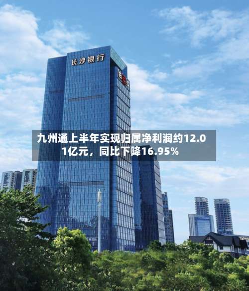 九州通上半年实现归属净利润约12.01亿元	，同比下降16.95%-第1张图片