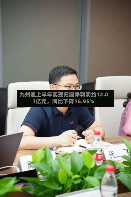 九州通上半年实现归属净利润约12.01亿元，同比下降16.95%-第2张图片