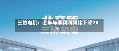 三协电机:上半年净利润同比下降20%