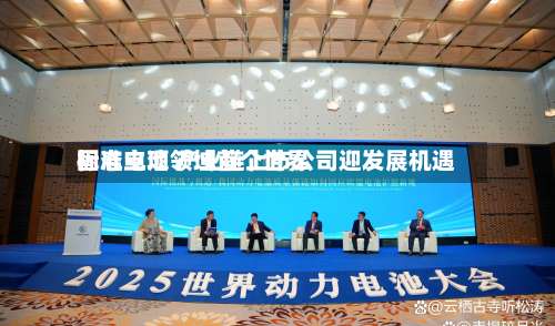 固态电池领域首个世界标准立项 产业链上市公司迎发展机遇-第3张图片