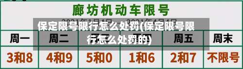 保定限号限行怎么处罚(保定限号限行怎么处罚的)-第2张图片