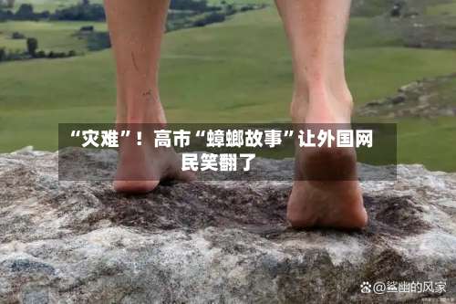 “灾难”！高市“蟑螂故事”让外国网民笑翻了-第2张图片
