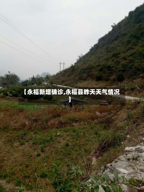 【永福新增确诊,永福县昨天天气情况】-第3张图片