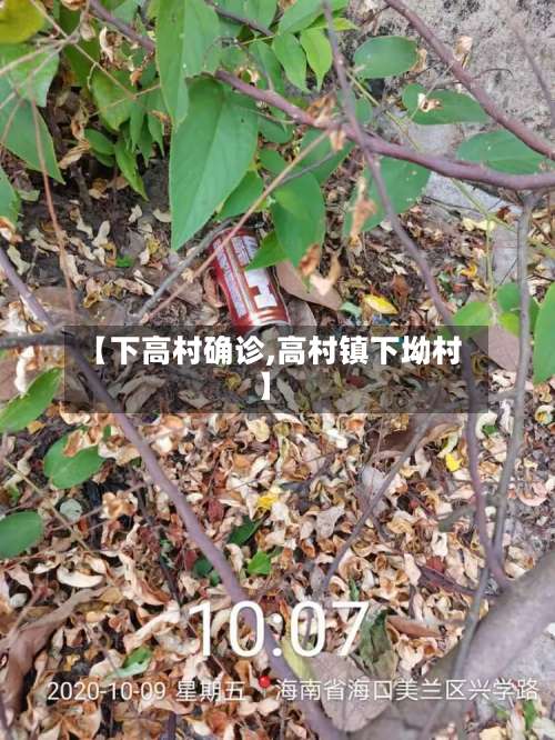 【下高村确诊,高村镇下坳村】-第3张图片