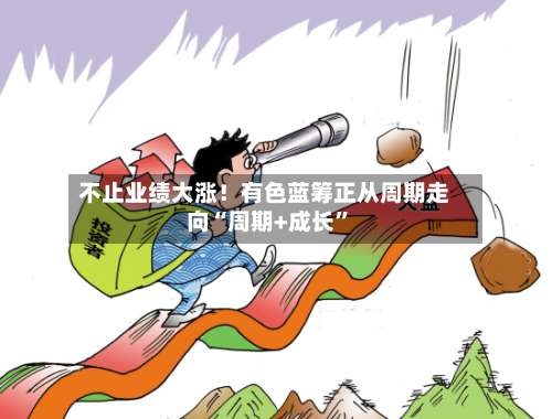 不止业绩大涨！有色蓝筹正从周期走向“周期+成长”-第2张图片