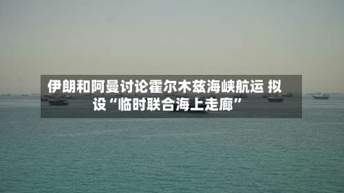 伊朗和阿曼讨论霍尔木兹海峡航运 拟设“临时联合海上走廊”-第2张图片