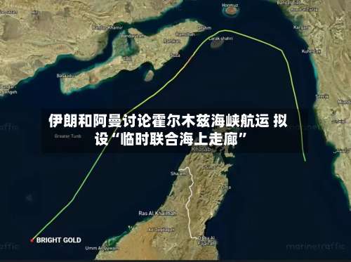 伊朗和阿曼讨论霍尔木兹海峡航运 拟设“临时联合海上走廊”-第3张图片