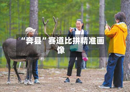 “奔县”赛道比拼精准画像-第2张图片
