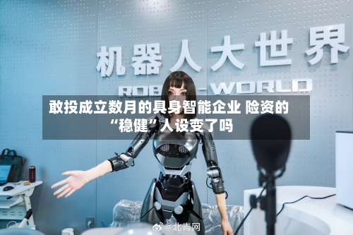 敢投成立数月的具身智能企业 险资的“稳健”人设变了吗-第2张图片