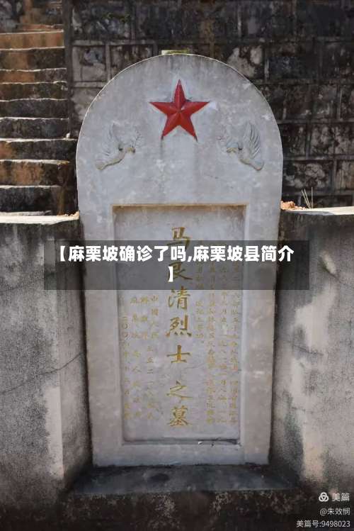 【麻栗坡确诊了吗,麻栗坡县简介】-第2张图片