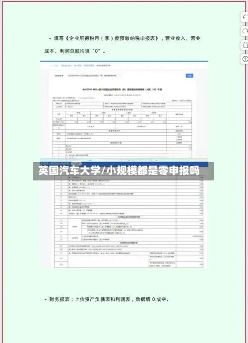英国汽车大学/小规模都是零申报吗-第3张图片