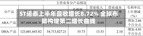 ST诺泰上半年营收增长8.72% 全球布局构建第二增长曲线-第1张图片