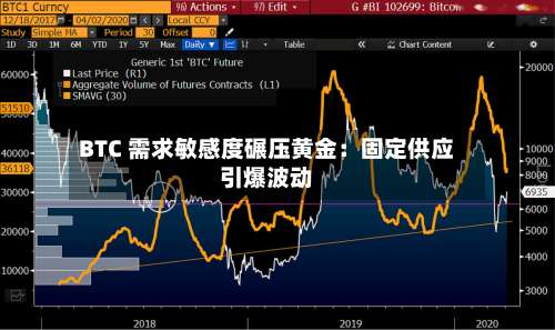 BTC 需求敏感度碾压黄金：固定供应引爆波动-第2张图片