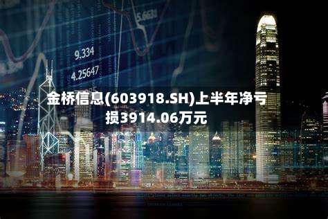 金桥信息(603918.SH)上半年净亏损3914.06万元