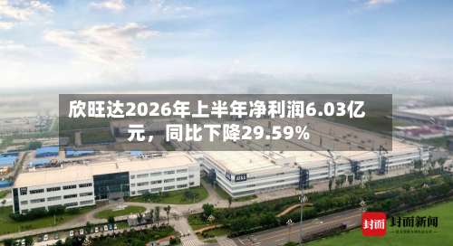 欣旺达2026年上半年净利润6.03亿元，同比下降29.59%-第3张图片