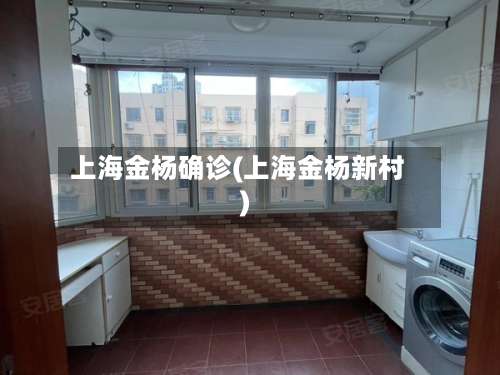 上海金杨确诊(上海金杨新村)