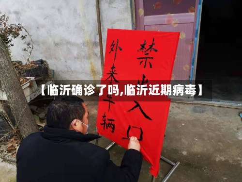 【临沂确诊了吗,临沂近期病毒】-第2张图片