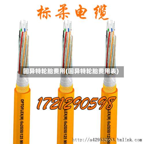 固异特轮胎费用(固异特轮胎费用表)-第3张图片