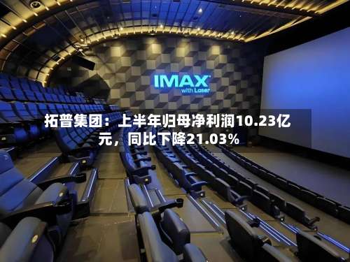 拓普集团：上半年归母净利润10.23亿元	，同比下降21.03%-第2张图片