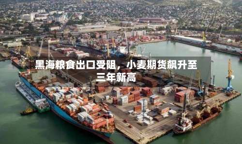 黑海粮食出口受阻	，小麦期货飙升至三年新高-第2张图片