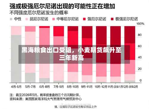 黑海粮食出口受阻	，小麦期货飙升至三年新高-第1张图片