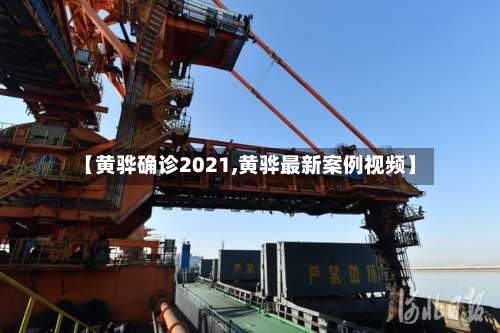 【黄骅确诊2021,黄骅最新案例视频】
