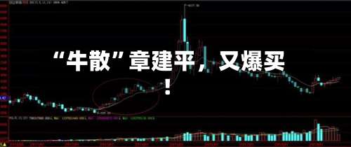 “牛散	”章建平，又爆买！-第2张图片