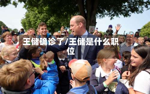 王储确诊了/王储是什么职位