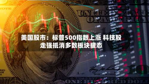 美国股市:标普500指数上涨 科技股走强抵消多数板块疲态-第2张图片
