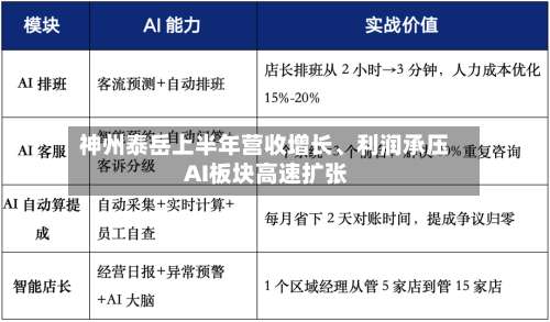 神州泰岳上半年营收增长、利润承压 AI板块高速扩张-第3张图片
