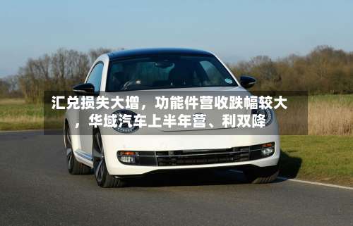 汇兑损失大增	，功能件营收跌幅较大，华域汽车上半年营	、利双降-第2张图片