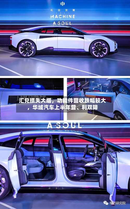 汇兑损失大增，功能件营收跌幅较大，华域汽车上半年营、利双降