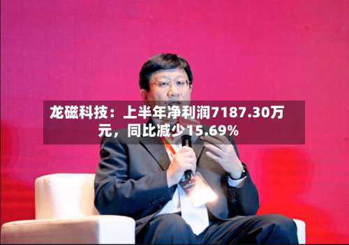 龙磁科技：上半年净利润7187.30万元	，同比减少15.69%-第2张图片