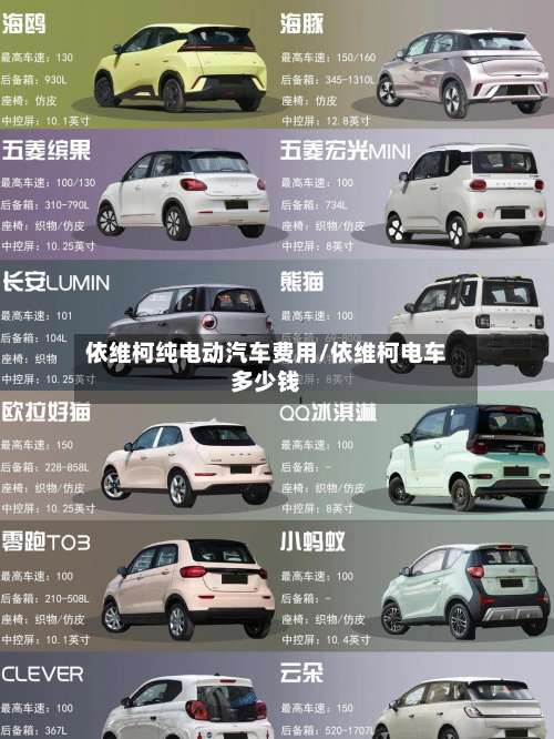 依维柯纯电动汽车费用/依维柯电车多少钱