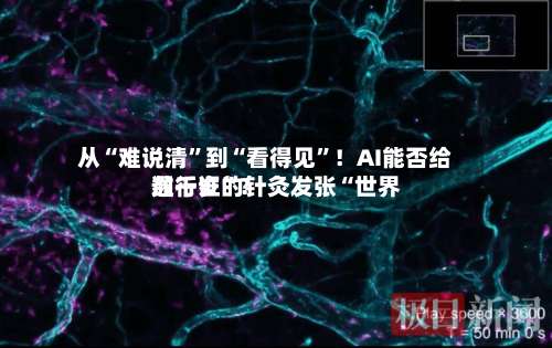 从“难说清”到“看得见”！AI能否给数千岁的针灸发张“世界通行证	”？-第2张图片
