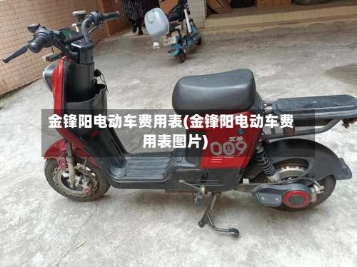 金锋阳电动车费用表(金锋阳电动车费用表图片)