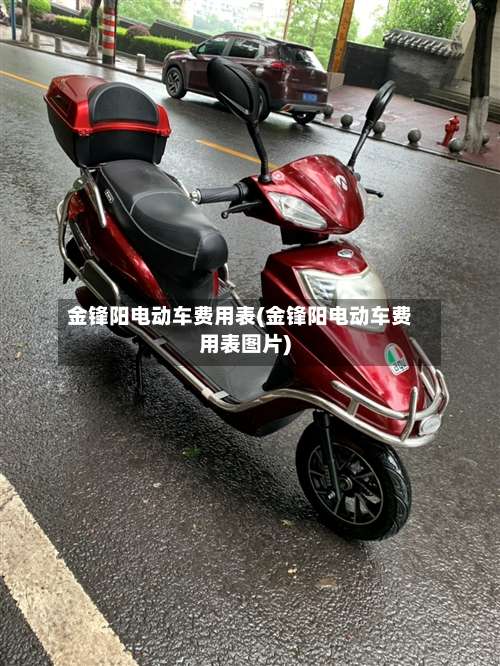 金锋阳电动车费用表(金锋阳电动车费用表图片)-第3张图片