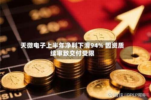 天微电子上半年净利下滑94% 因资质续审致交付受限-第1张图片